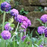 Wohlfuehloase Fuer Natur- Und Gartenliebhaber By Interhome Appartement *