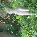Appartement Wohlfuehloase Fuer Natur- Und Gartenliebhaber By Interhome *