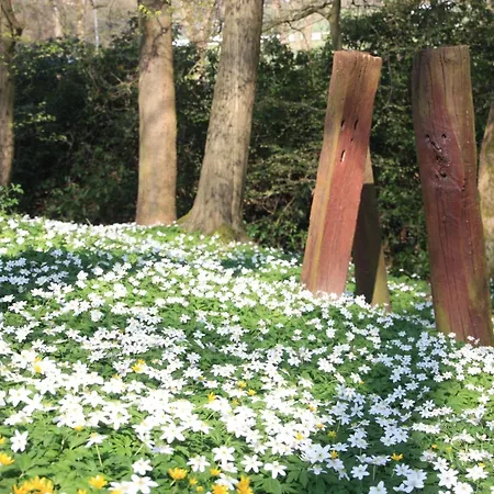 Lejlighed Wohlfuehloase Fuer Natur- Und Gartenliebhaber By Interhome *