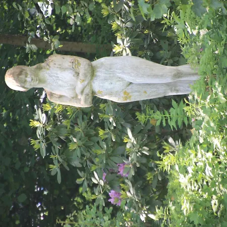 Lejlighed Wohlfuehloase Fuer Natur- Und Gartenliebhaber By Interhome Walkenried