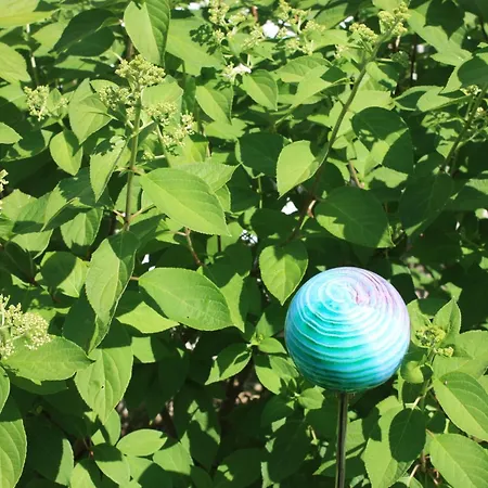 Wohlfuehloase Fuer Natur- Und Gartenliebhaber By Interhome Walkenried
