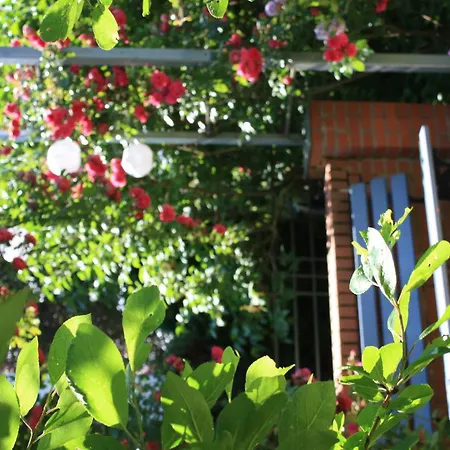 Lejlighed Wohlfuehloase Fuer Natur- Und Gartenliebhaber By Interhome Walkenried