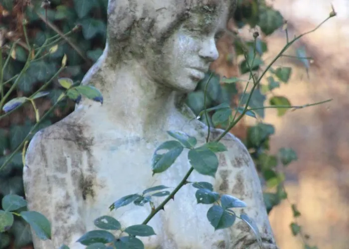 Wohlfuehloase Fuer Natur- Und Gartenliebhaber By Interhome Appartement