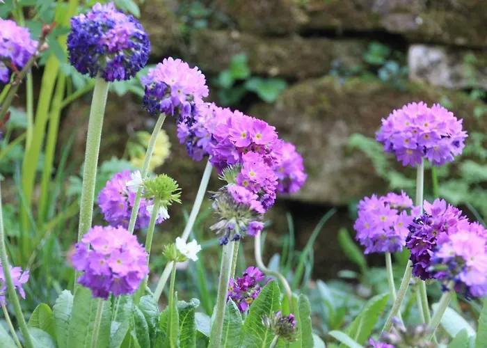 Wohlfuehloase Fuer Natur- Und Gartenliebhaber By Interhome Appartement *