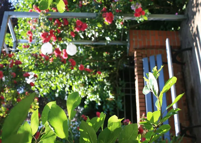 Appartement Wohlfuehloase Fuer Natur- Und Gartenliebhaber By Interhome Walkenried